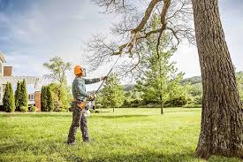 Best Storm Damage Tree Cleanup  in Cape Charles, VA