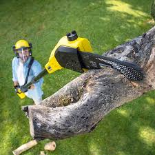 Best Lawn Pest Prevention  in Cape Charles, VA