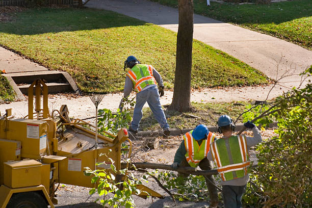 Best Aeration Services  in Cape Charles, VA